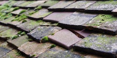 Wistow roof repair costs
